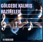 gölgede kalmış hazineler.jpg