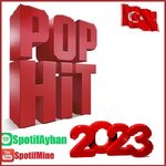 pop hit 2023.jpg