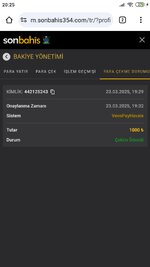 Screenshot_2025-03-23-20-25-39-691_com.android.chrome.jpg