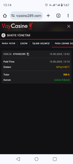 Screenshot_20250515-131416.png