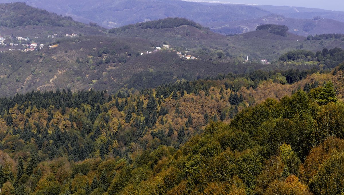 Çam Dağı'ndaki ağaçlar sonbahar renklerine büründü