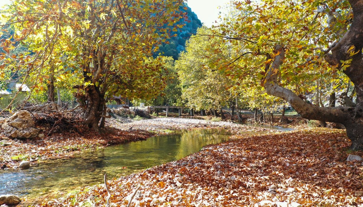 Andırın yaylaları sonbahar renklerine büründü