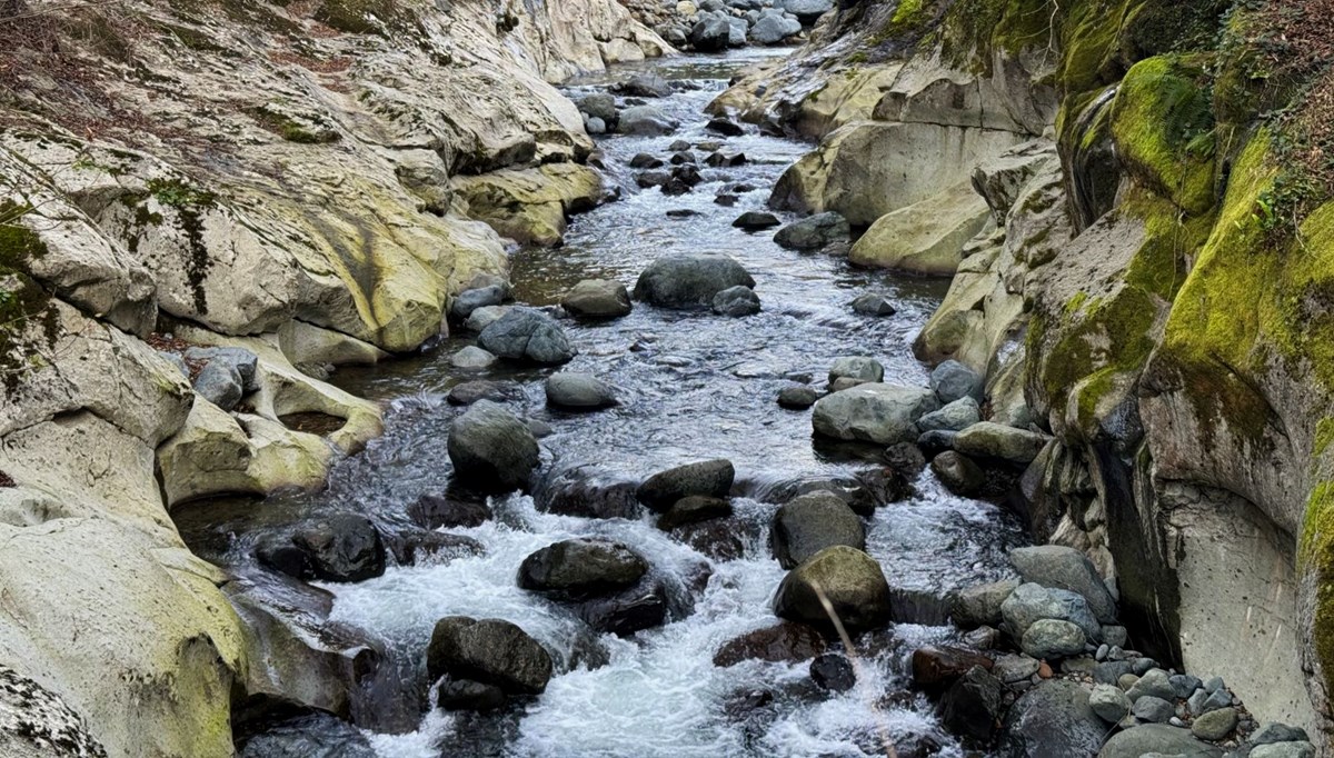 Karadeniz’in doğal güzelliği: Çamaş Kanyonu