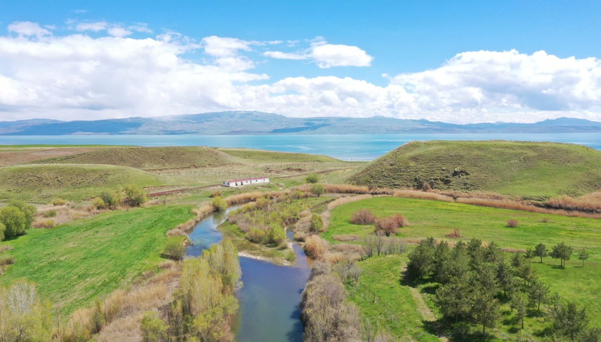 İnci kefalinin Van Gölü'nden tatlı sulara göçü başladı