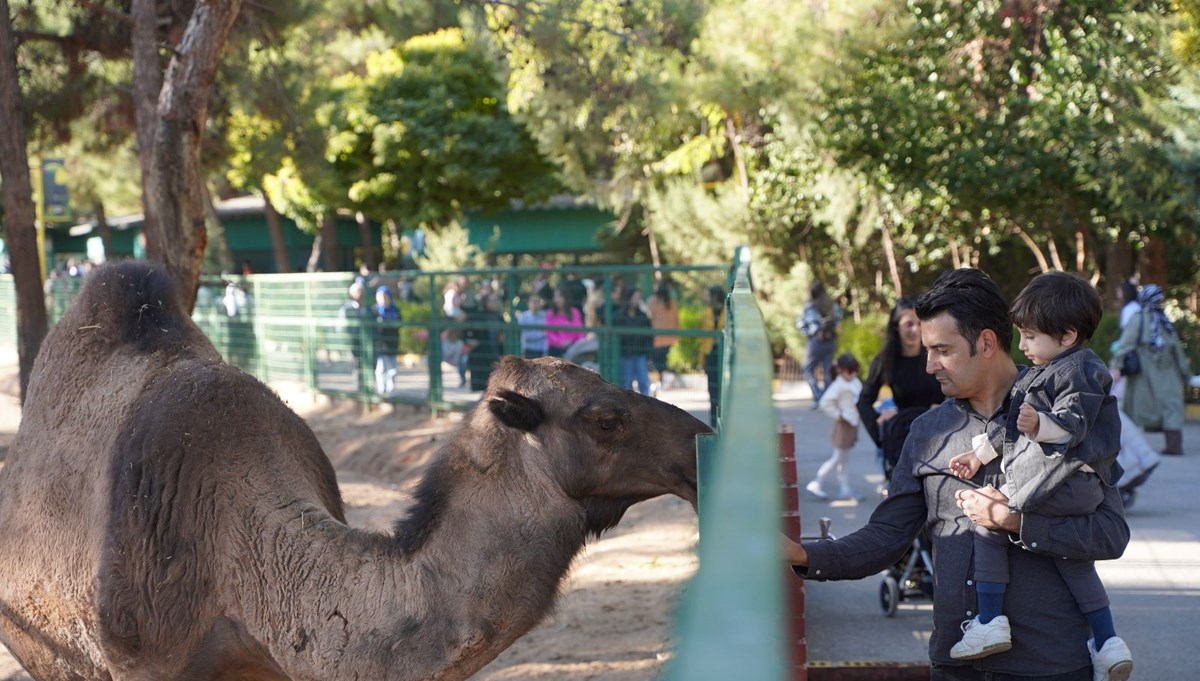 Gaziantep Doğal Yaşam Parkı'na 4,2 milyon ziyaretçi