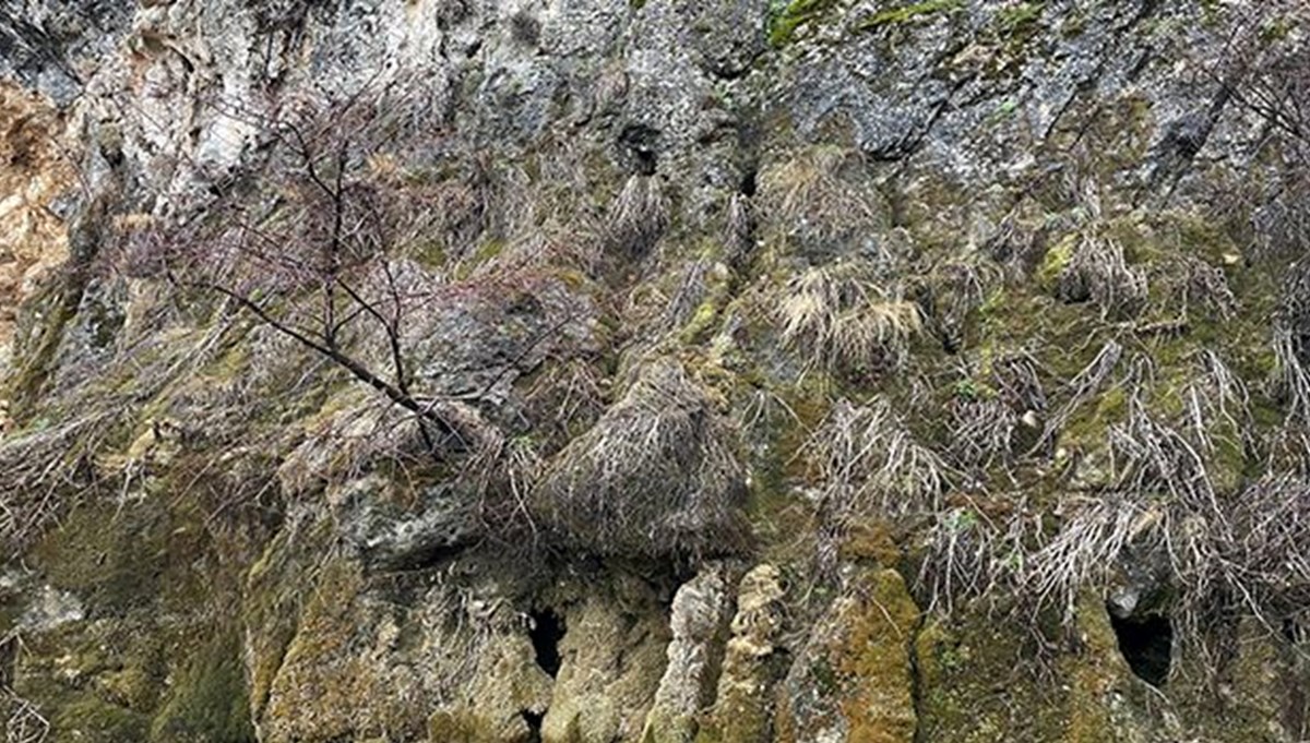 Depremler sonrası Kahramanmaraş'taki şelalenin suyu kurudu