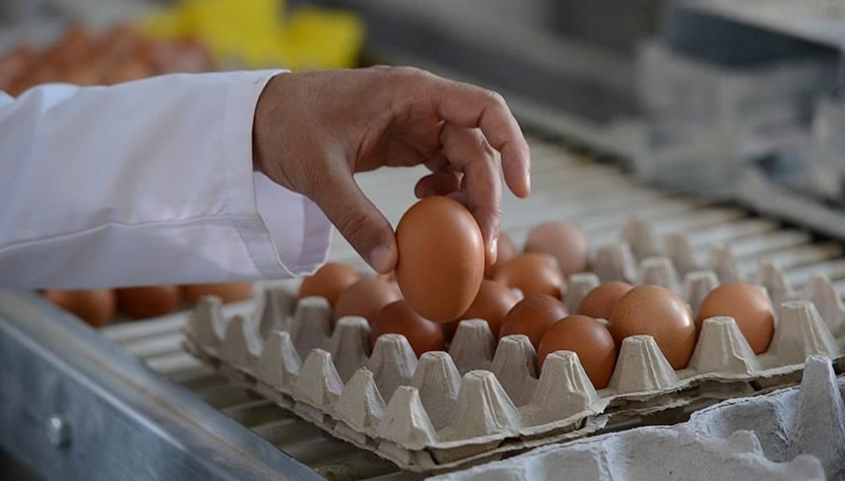 Kuş gribi salgını ve enflasyon, ABD'de yumurta fiyatlarını artırdı