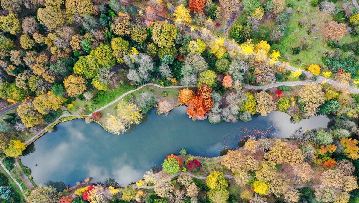 İstanbul'da sonbahar rotası önerisi: Atatürk Arboretumu