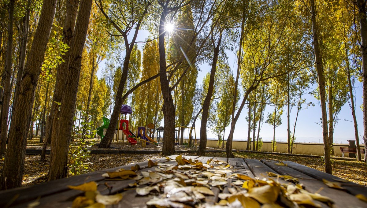 Erzurum'un kırsal mahallelerinde sonbahar renkleri hakim oldu