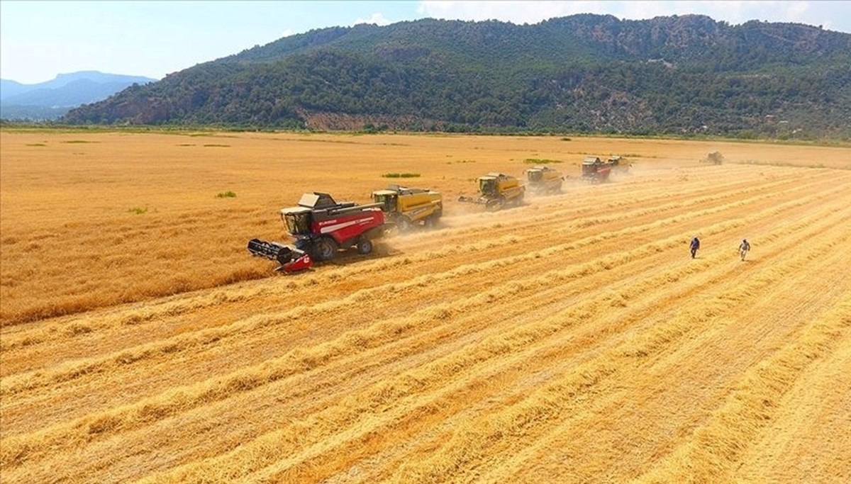 Tarımsal girdi fiyat endeksi, ağustosta yüzde 135 arttı