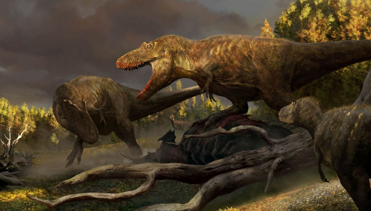 76 milyon yıl önce yaşayan yeni bir dinozor türü keşfedildi: T. rex'in atası bulundu mu?