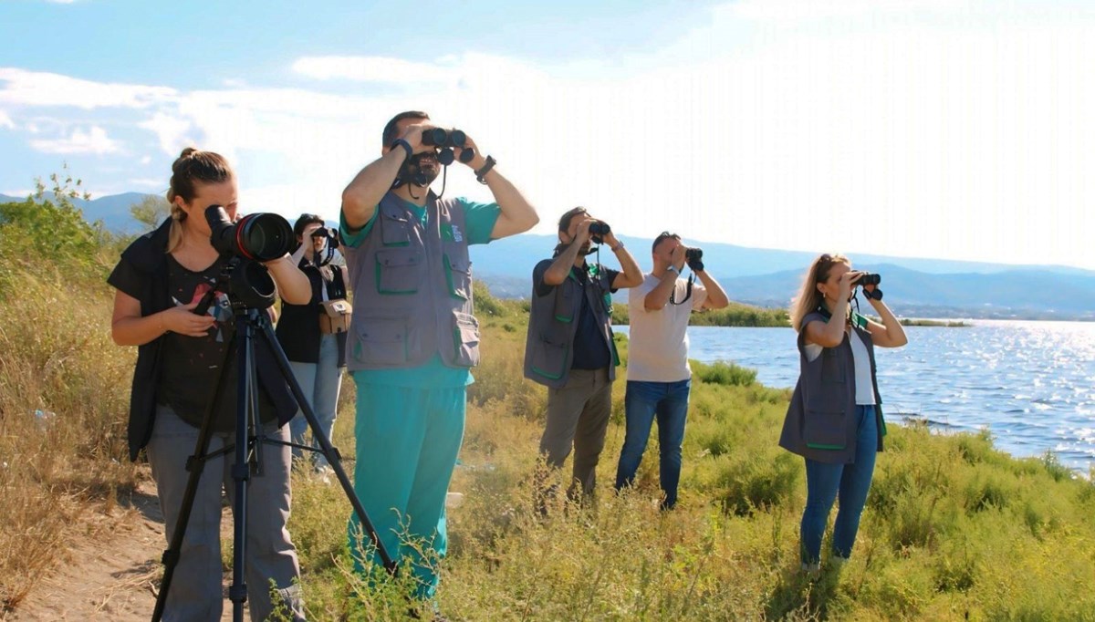 İzmit Körfezi'nde flamingo popülasyonu arttı