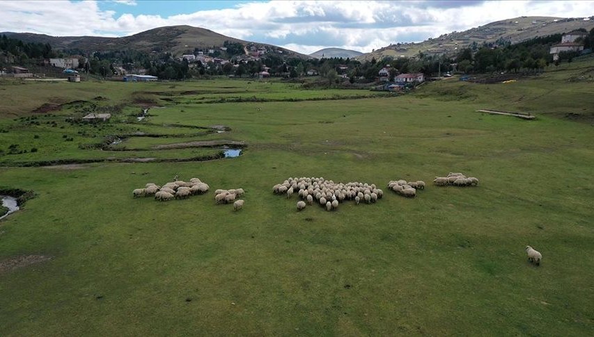 Eğriçimen ve Perşembe yaylaları her mevsim ziyaretçi çekiyor