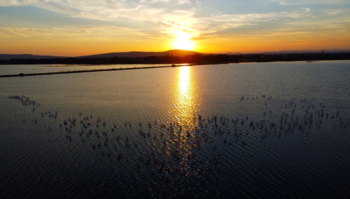 Ekoloji tutkunları ve kuş gözlemcileri için doğal bir cennet: Etang de l'Arnel lagünü