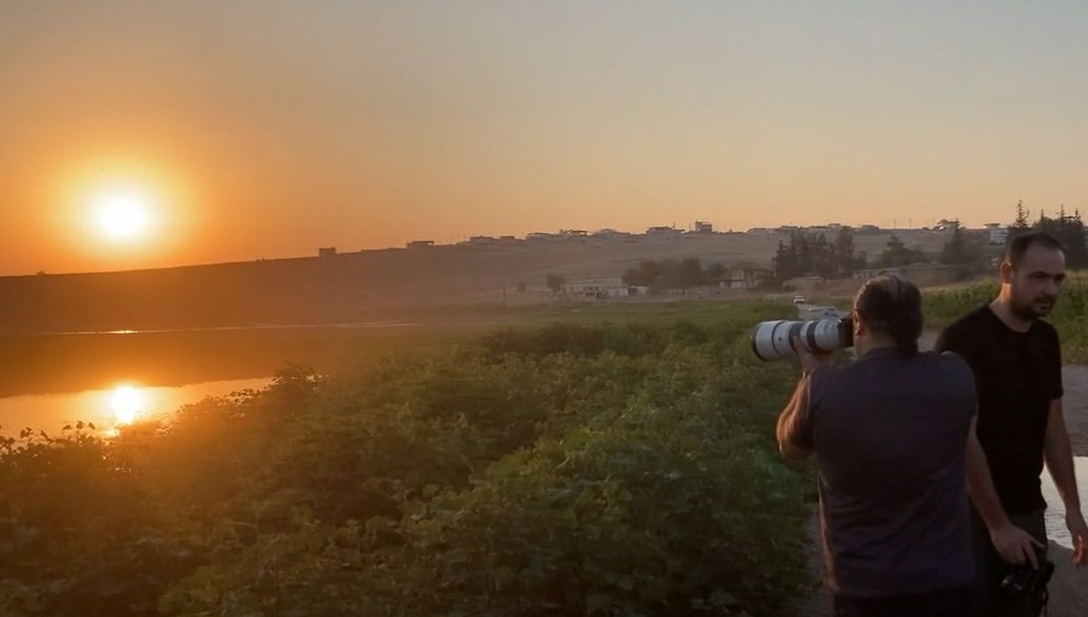 Gaziantep'teki sulak alanlar kuş fotoğrafçılarının uğrak yeri oldu