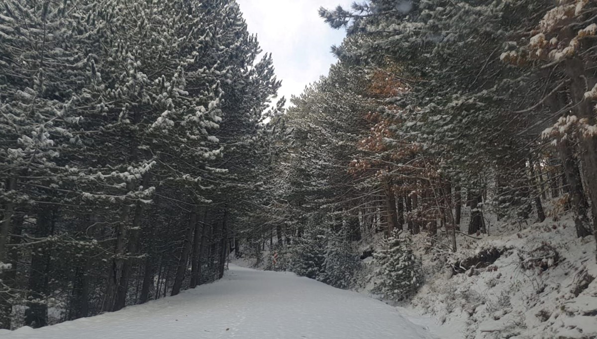 Kazdağı Milli Parkı beyaza büründü