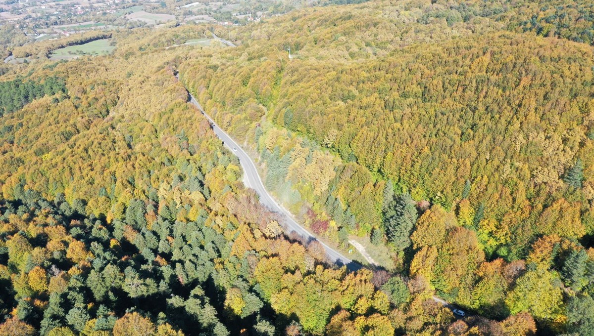 Gölcük Tabiat Parkı sonbahar renklerine büründü