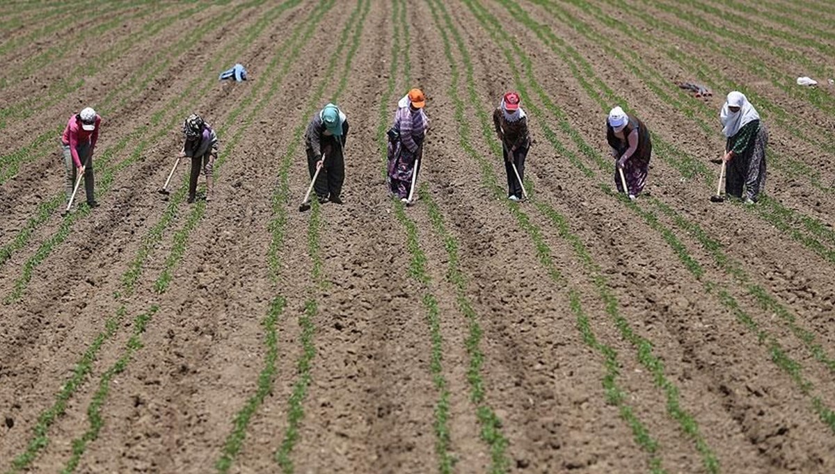 Bakan Kirişci: 280 bin kadın çiftçimize yaklaşık 10 milyar liralık destek sağladık