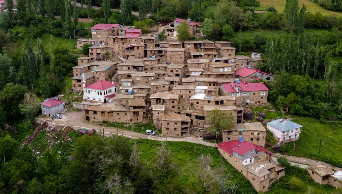 Bitlis'teki tarihi taş evler doğaseverlerin ilgi odağı